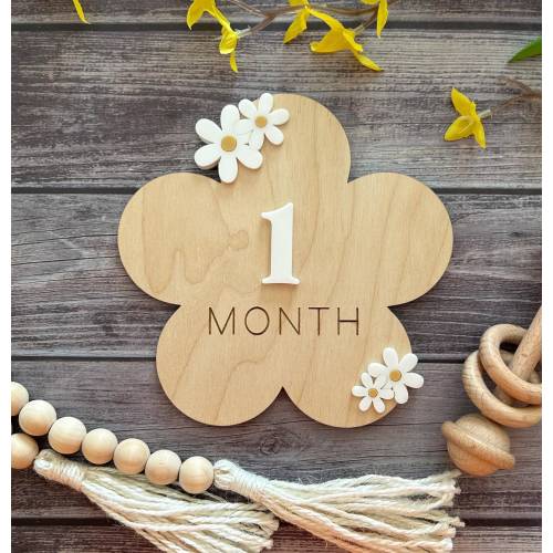 Wooden 3-D Flower Monthly Milestone Sign | Daisy Milestone Card | Baby Photo Props | Fresh 48 Photos Boho Decor| Baby Shower Gift |New Mom