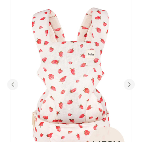 Strawberry - Mesh Explore Baby Carrier – Baby Tula US