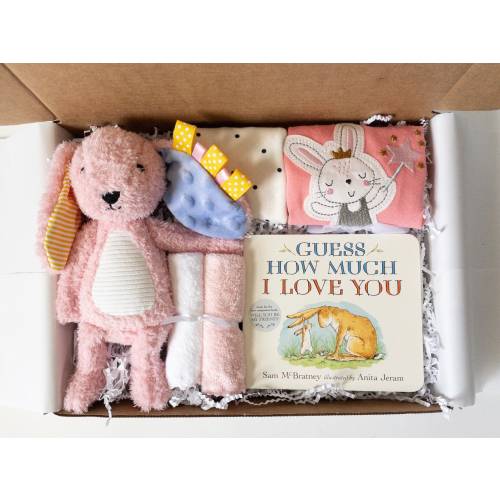 Baby girl gift box, baby shower gift girl, new baby girl gift, newborn girl gift box, baby sprinkle gift, Pink bunny gift