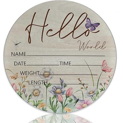 Hello World Newborn Sign Butterfly Baby Name Birth Announcement Sign for Nursery Hospital Welcome Baby Name Plaque 6 inch Circle Birch Wood Board Birth Stat Sign Newborn Gifts for Mom
