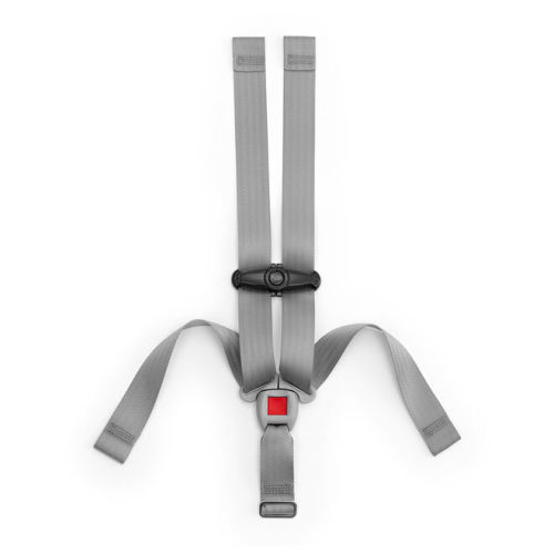 KeyFit, KeyFit 30 and KeyFit 35 Car Seat--5 Point Harness & Chest Clip | Chicco