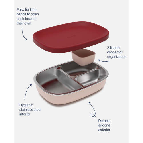 Bento Box  / Berry & Cream