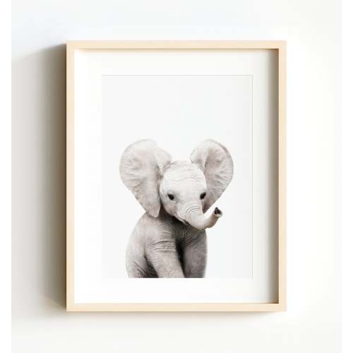 Baby Elephant 8x10