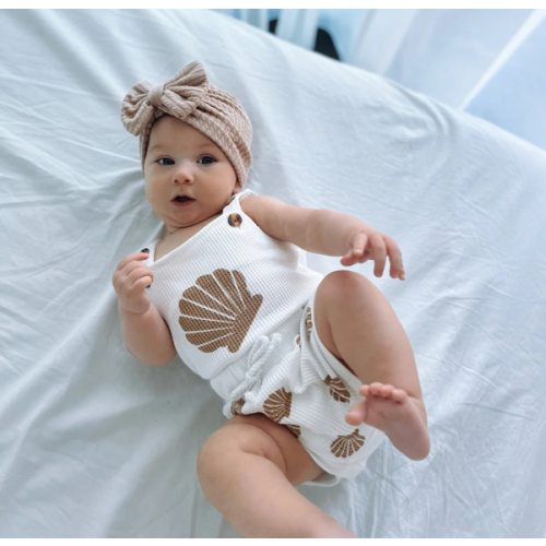 Seashell Set