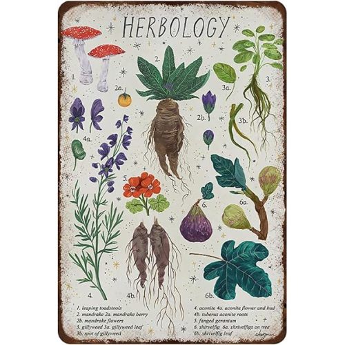 Rustic Retro Metal Tin Sign Herbology Poster Plant Magic Home Decor Wall Art Vintage Tin Sign Country Home Decor for Living Room,Kitchen,Farm Decoration 8X12Inch