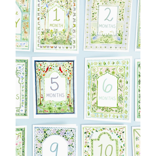 Baby Milestone Cards: Whimsical Set