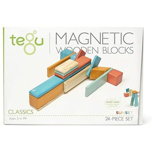 Tegu Magnetic Wooden Block Set