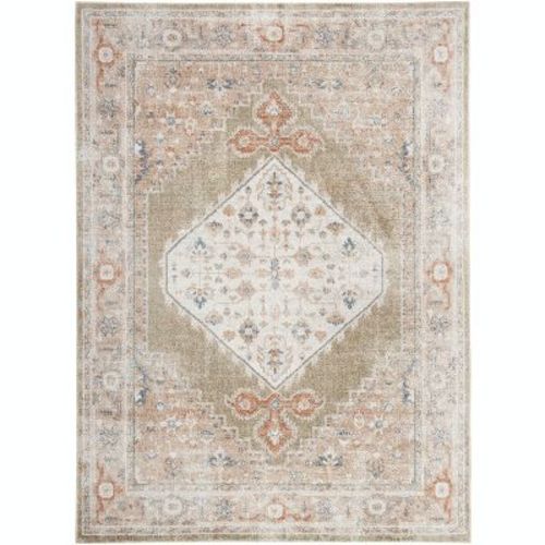 Nourison Astra Machine Washable 6'7" x 9' Sage Multi Vintage Indoor Flatweave Rug