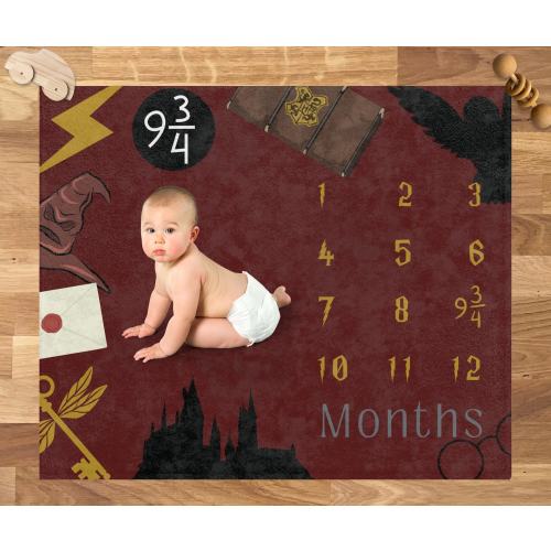 Potter Wizard Baby Blanket| Wizard Milestone Minky Blanket| Baby Boy Milestone Blanket| Baby Girl Milestone Blanket| Harry Baby Blanket