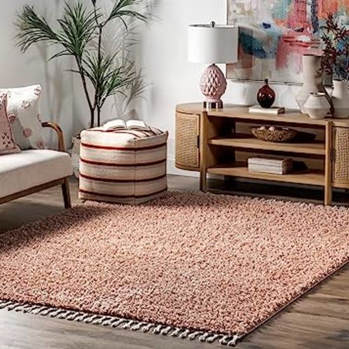 nuLOOM Neva Modern Tasseled Shag Area Rug, 5' 3" x 7' 7", Pink