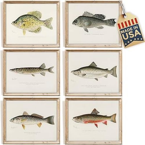 DREAM BIG PRINTABLES Vintage Fishing Decor (Set of 6) - Unframed - 8x10s | Fish Wall Art Prints | Great Gift for Fishermen