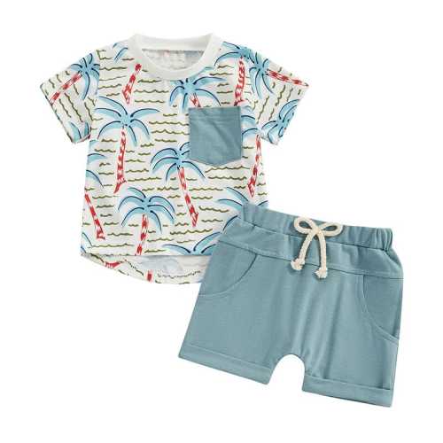Little Boy Palm Trees Solid Shorts 2-Piece Outfit Set
– The Trendy Toddlers
