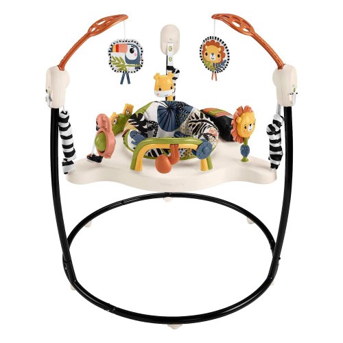 Fisher-Price Palm Paradise Bouncer Jumperoo, Baby Jumping Play Activity Center with Lights & Music