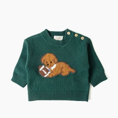 Picolette by Olivia Culpo Baby Boys' Oliver Dog Long Sleeve Crewneck Pullover Sweater - Green 3-6M