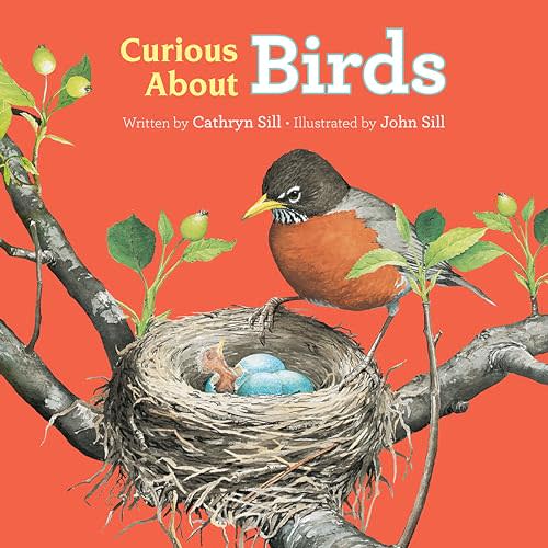 Curious About Birds (Discovering Nature)
