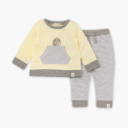Burt's Bees Baby French Terry Hello Bunny Top & Pant Set, 100% Organic Cotton - French Terry Hello Bunny, 3-6 Months