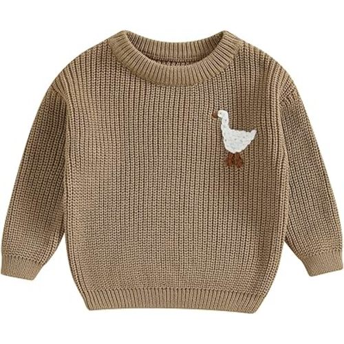 Newborn Baby Boy Girl Sweater Goose Embroidery Crew Neck Long Sleeve Knit Pullover Toddler Fall Winter Clothes