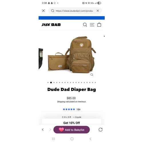 Dude Dad Diaper Bag