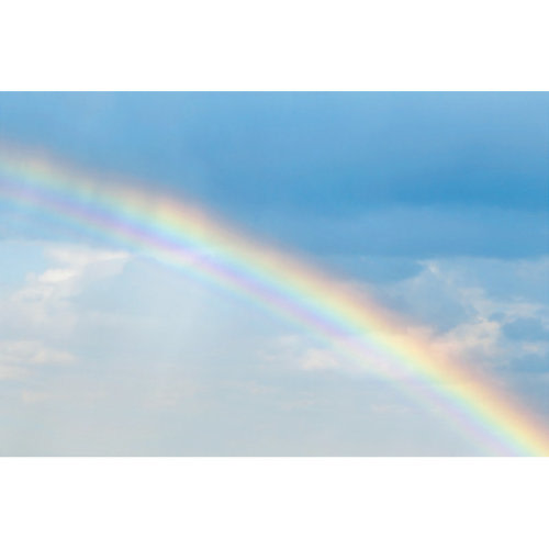 Ebern Designs Rainbow by Viorika | Wayfair