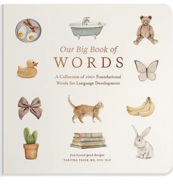 Our Big Book of First Words: A Collection of 100+ Foundational Words for Language Development (Tabitha Paige Children's Book Series)