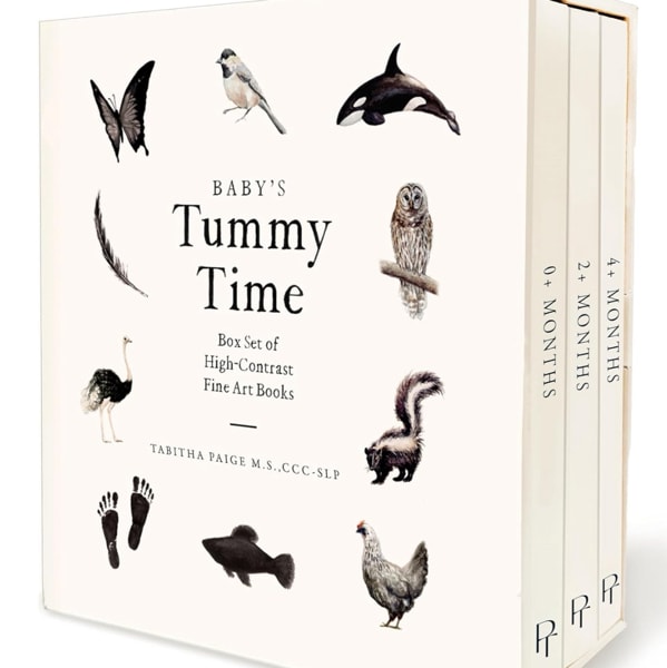 Baby's Tummy Time Book Box Set: High-Contrast Art for Visual Stimulation at Tummy Time