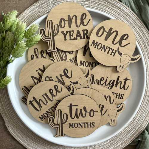 Western Baby Monthly Milestone Discs – Cactus & Longhorn Rustic Wooden Photo Props | 1–12 Months + One Year | Newborn Keepsake Set