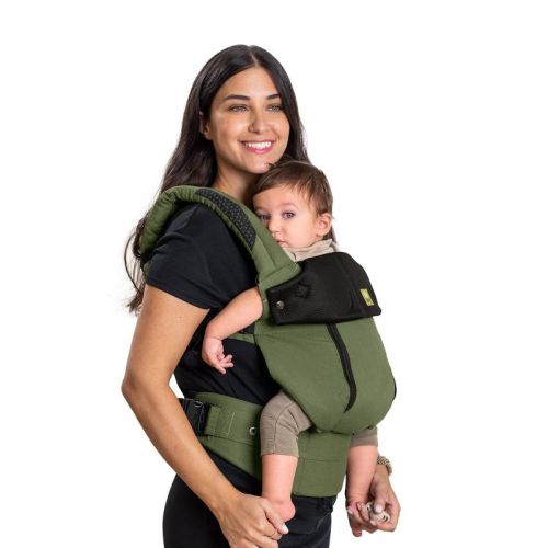 LILLEbaby Complete All Season Baby Carrier, Color: Succulent