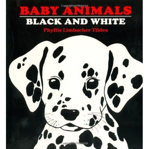 Baby Animals Black and White