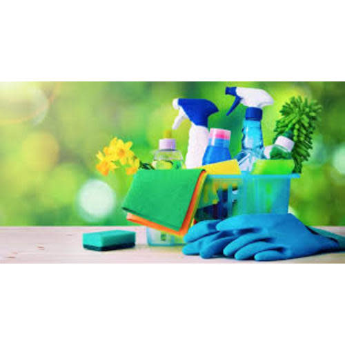 Professional House Cleaning