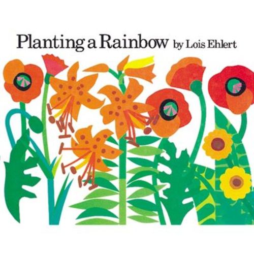Planting A Rainbow - By Lois Ehlert (board Book)