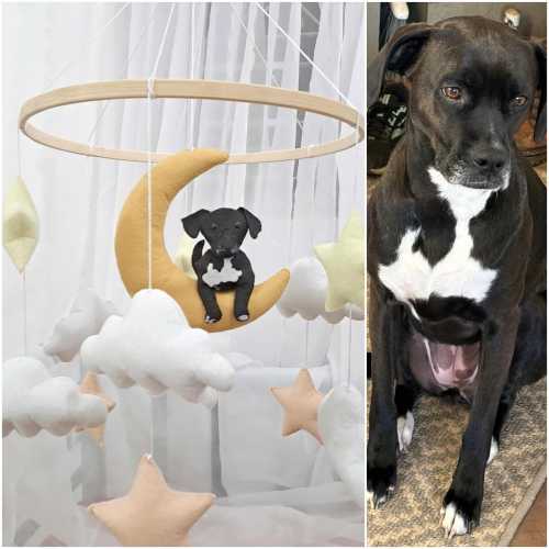 Custom Dog on Moon Baby Mobile, Personalized Baby Nursery, Personalized Dog Mobile Nursery, Dog Nursery Decor