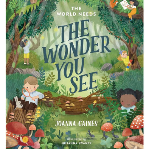 The World Needs the Wonder You See