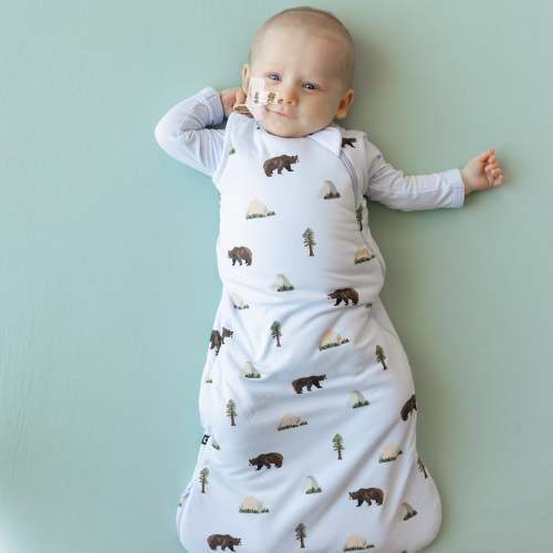 Sleep Bag in Yosemite 1.0