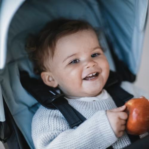 Thule stroller seat liner | Thule | United States