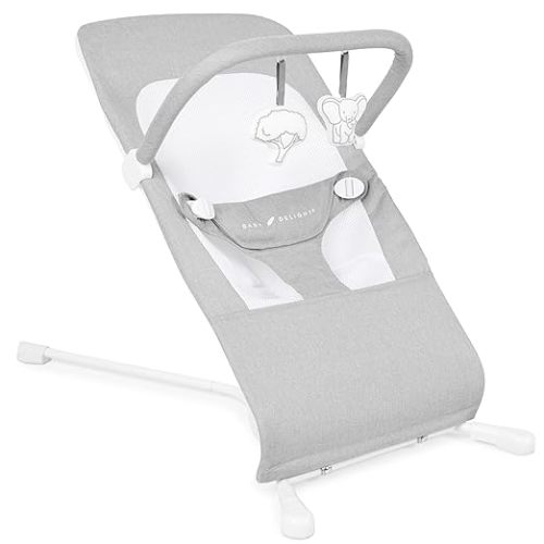 Baby Delight Highland Baby Bouncer | Infant | 0 – 6 Months | 3-Position Recline | Pebble Grey