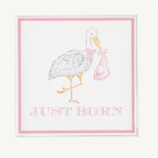 Sir Proper's Month Markers - Palm Beach Pink