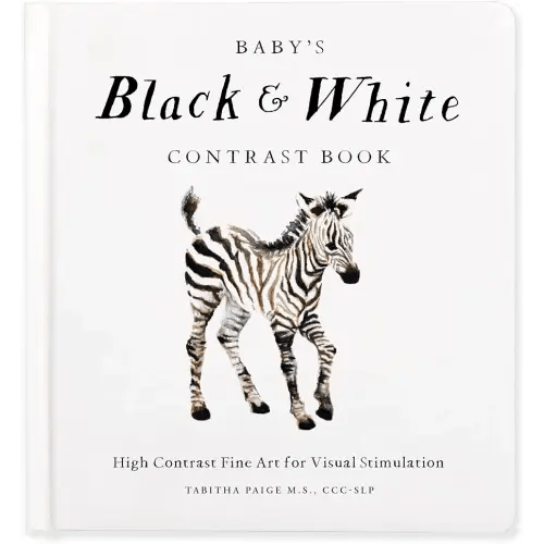 Baby's Black and White Contrast Book: High-Contrast Art for Visual Stimulation at Tummy Time (Our Little Adventures Series)