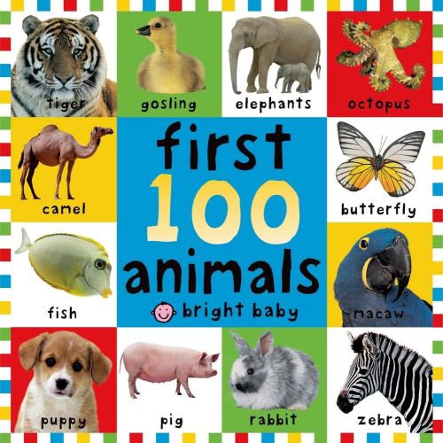 Big Board First 100 Animals (First Words)