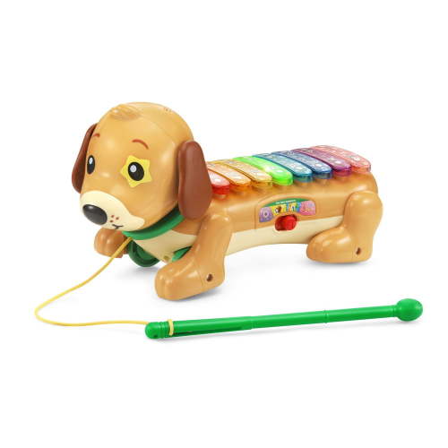 VTech Zoo Jamz Doggy Xylophone - Infant Musical Toy - English Version, 1.5-4 Years - Walmart.ca