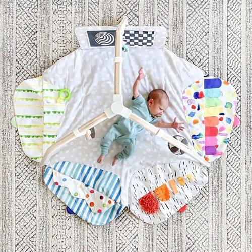 LOVEVERY | The Play Gym | Award Winning For Baby , Stage-Based Developmental Activity Gym & Play Mat for Baby to Toddler