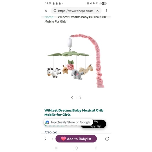 Wildest Dreams Baby Musical Crib Mobile for Girls