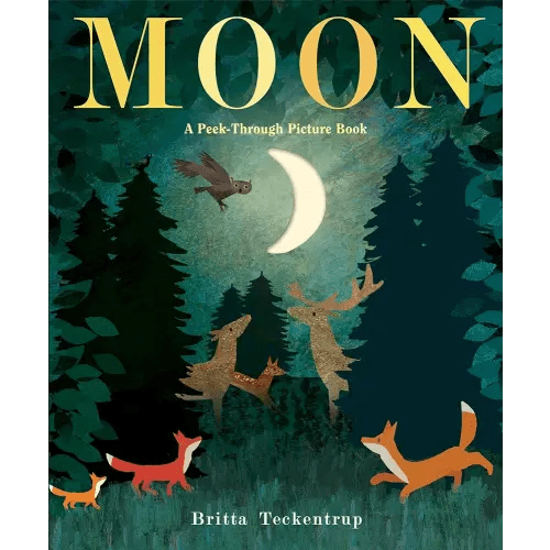 Moon: A Peek-Through Picture Book