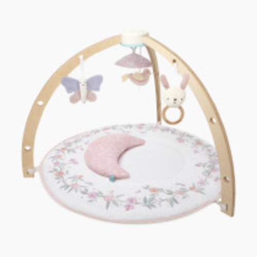 Aden + Anais Play + Discover Activity Gym - Ma Fleur