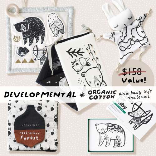 Developmental Bundle for Baby - Woodland