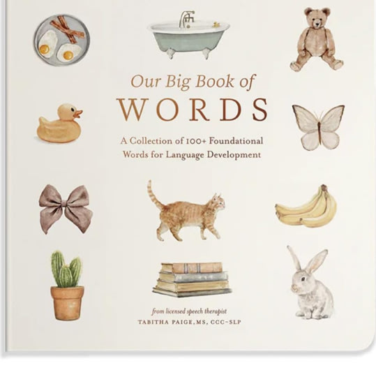 Our Big Book of First Words: A Collection of 100+ Foundational Words for Language Development (Tabitha Paige Children's Book Series)