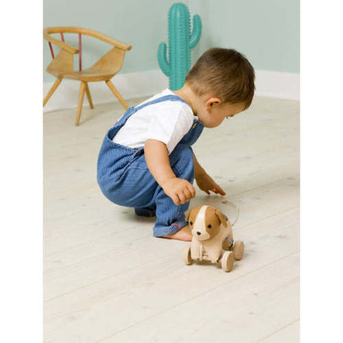Pull Along Friends - Adrien the Dog - Little Big Friends | Maisonette