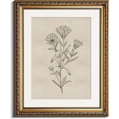 InSimSea Gold Picture Framed Wall Art, Living Room Bathroom Vintage Minimalist Botanical Pictures Wall Decor, Floral Canvas Print Art, Home Farmhouse Decor, Antique Paintings with Frames 13x16inch