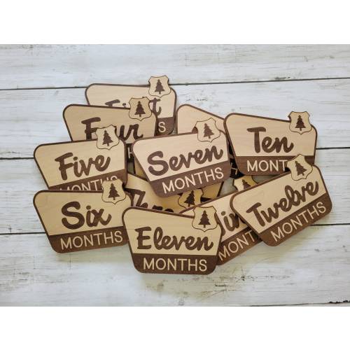 National Parks Recreation Milestone Signs, Baby Photo Prop, Infant First Year Marker, Newborn Photography, Baby Shower Gift, Monthly Tracker
