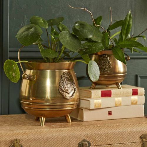 Harry Potter™ Cauldron Planter