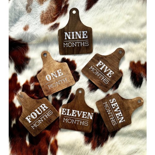 Cow Tag Monthly Milestone Cow Baby Gift Birth Announcement Sign Baby Shower Ear Tag Gift Western Monthly Milestone
